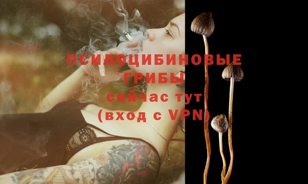 амф Армянск