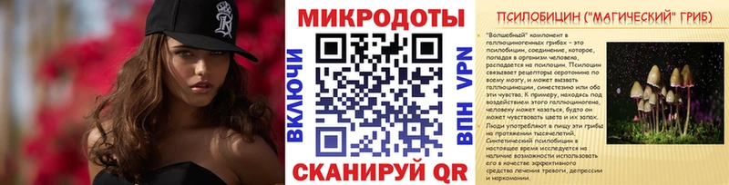 магазин продажи   Георгиевск  Галлюциногенные грибы Magic Shrooms 